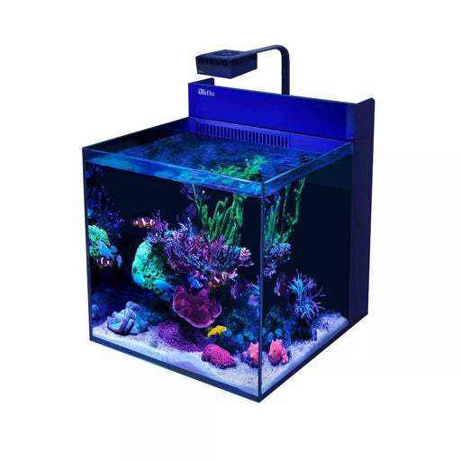 Red Sea Max NANO G2 XL Cube Aquarium with vibrant coral and fish under LED lighting, showcasing a 125L reef system.