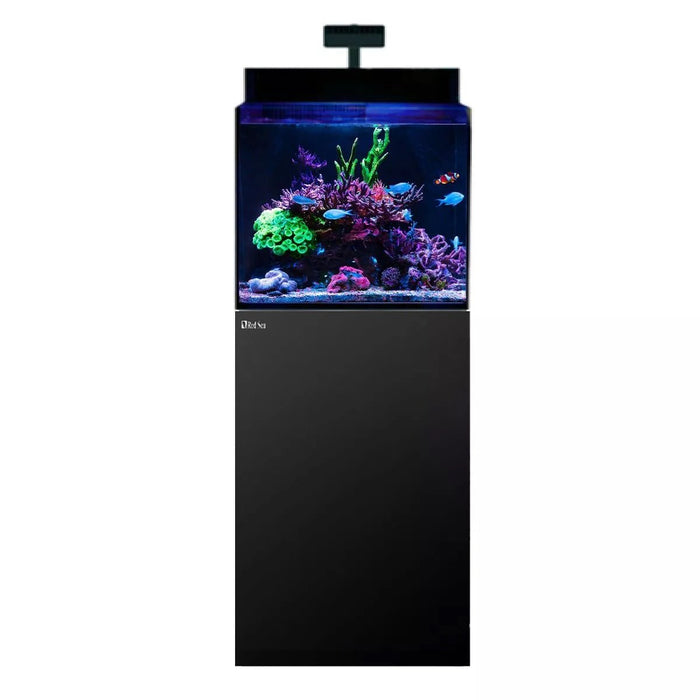 Red Sea Max NANO G2 XL Cube 125L Reef Aquarium with vibrant corals and fish, featuring a sleek black cabinet design.