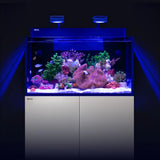 Red Sea Max NANO G2 XXL Cube Complete Reef Aquarium System 200L with colorful corals and fish under advanced lighting