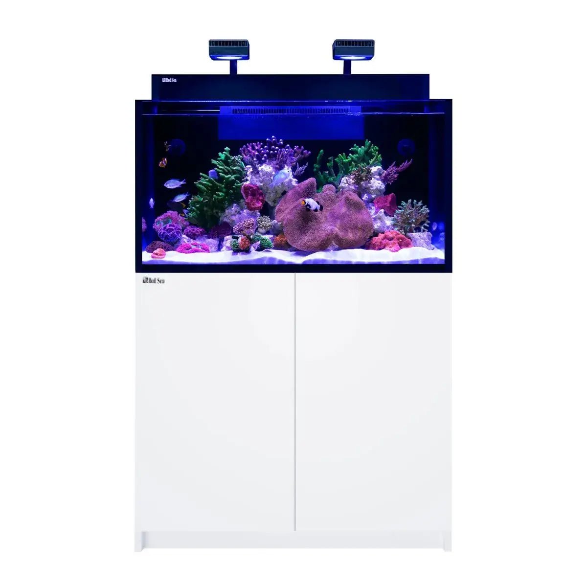 Red Sea Max NANO G2 XXL Cube Complete Reef Aquarium System 200L with white cabinet and vibrant corals.