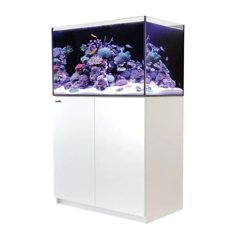 Red Sea Reefer G2+ 250 Aquarium showcasing vibrant corals and marine life in a sleek modern cabinet.