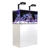Red Sea Reefer G2+ 250 aquarium with vivid corals and LED lighting, perfect for reef enthusiasts.