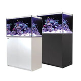 Red Sea Reefer G2+ 250 aquarium in black and white cabinets showcasing vibrant coral and fish.