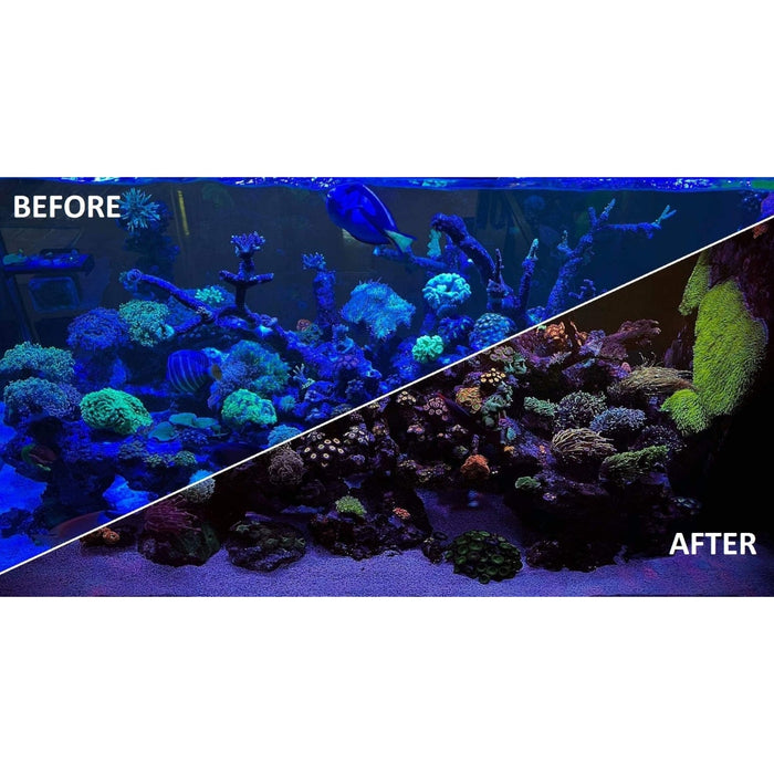 Before and after comparison of a coral reef tank showing enhanced colors with Red Sea ReefView Coral Glasses.