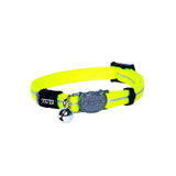 Rogz AlleyCat Kitten and Cat Collar in bright yellow with a breakaway clip and bell.