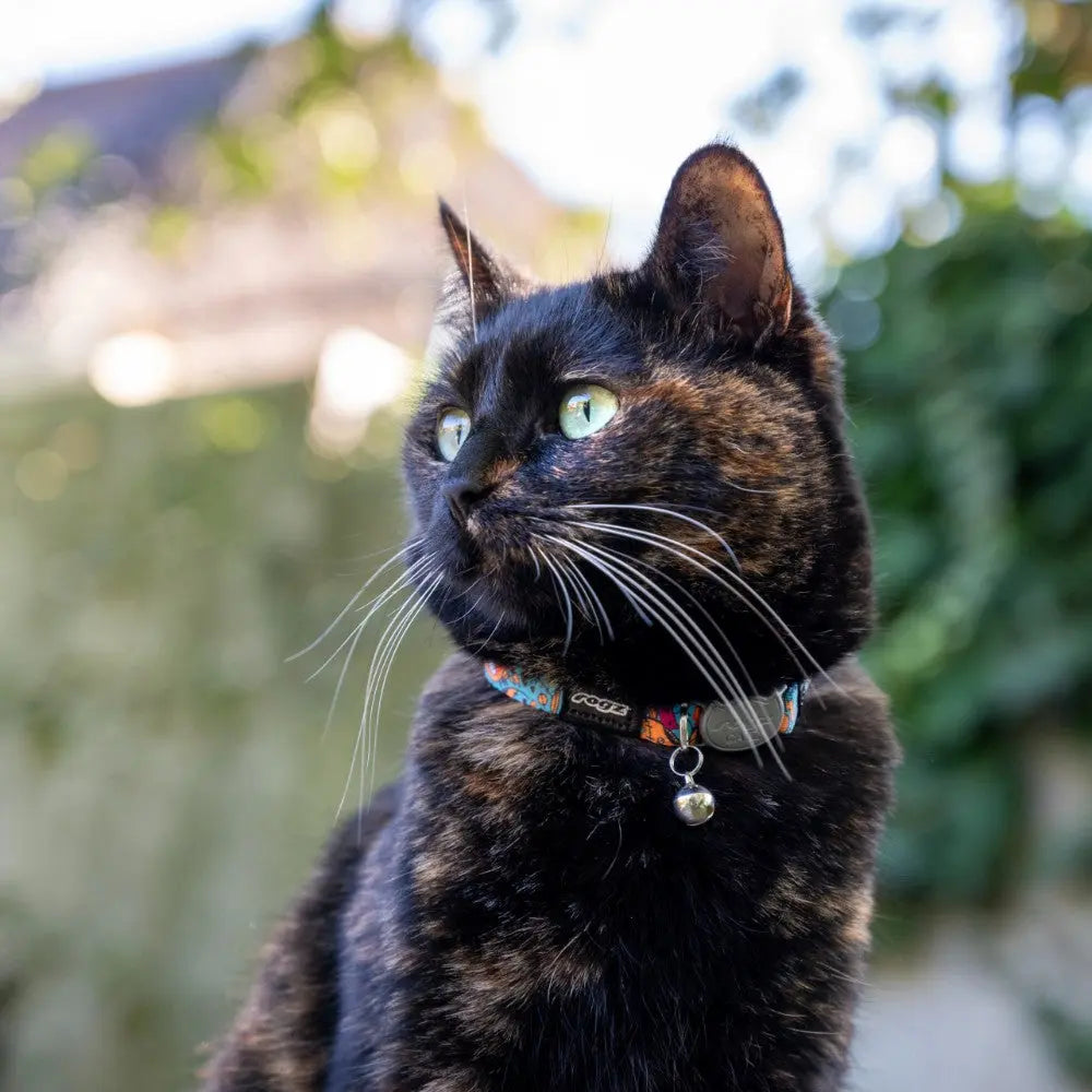 Rogz Fusion Cat Safety Collar on a tortoiseshell cat with green eyes in a natural outdoor setting.
