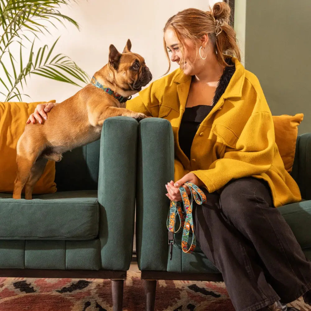 A woman in a yellow jacket with a dog wearing a Rogz Fusion Classic Dog Collar sitting on green sofas.