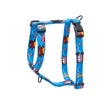 Rogz Fusion Classic Dog Harness in bright blue color with fun graphic design, ideal for comfortable dog walks.