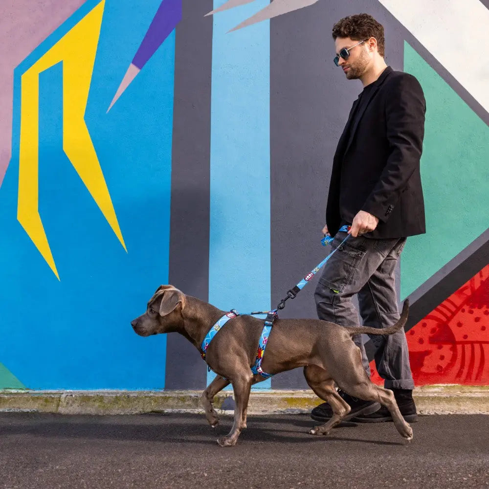 A man walking a dog using the Rogz Fusion Classic Dog Harness in a vibrant urban setting.