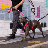 Person walking a dog wearing the Rogz Fusion Classic Dog Harness against a colorful urban background.