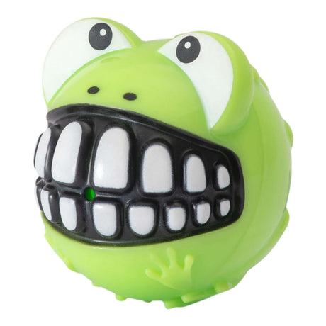 Rogz Grinz Fetch Frog Toy for dogs, green frog-shaped squeaky fetch toy with a big smile, medium size.