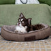 Cozy dog lounging in Rogz Lounge Oval bed, featuring soft cushioning and oval bolster for added support.