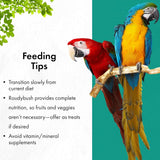 Roudybush California Blend 1.25kg feeding tips for birds with vibrant macaws.