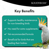 Roudybush California Blend 1.25kg key benefits: supports healthy maintenance for non-breeding birds, vet-recommended formula.