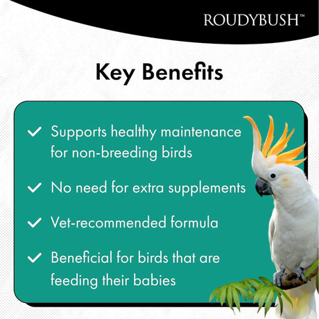 Roudybush California Blend 1.25kg key benefits: supports healthy maintenance for non-breeding birds, vet-recommended formula.