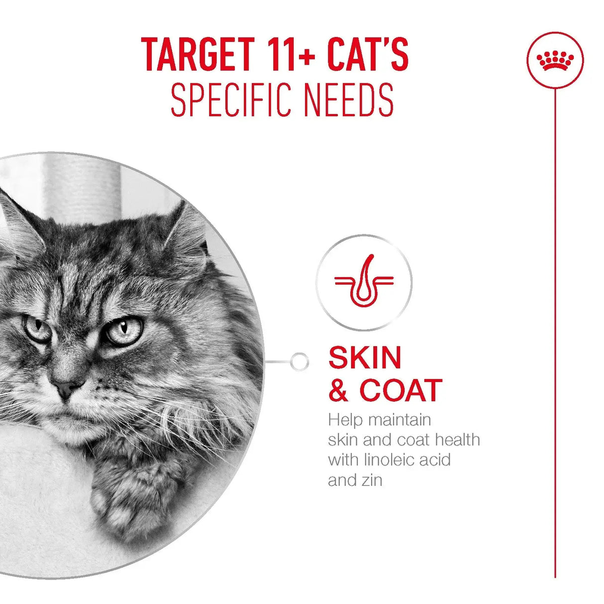 Royal Canin Ageing +11 Cat Wet Food Pouch 85g showcases benefits for skin and coat health for senior cats.