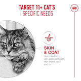 Royal Canin Ageing +11 Cat Wet Food Pouch 85g showcases benefits for skin and coat health for senior cats.