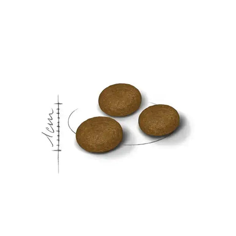Royal Canin Fussy Exigent Eater Cat Food kibble pieces on a white background.