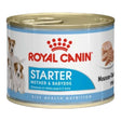 Royal Canin Starter Mother & Babydog Mousse can, perfect for nurturing pregnant dogs and weaning puppies.
