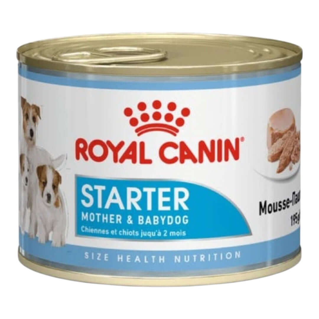 Royal Canin Starter Mother & Babydog Mousse can, perfect for nurturing pregnant dogs and weaning puppies.