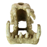 Sabretooth skull aquarium ornament with realistic jaw and teeth details, perfect for home décor and aquariums.