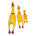 Screaming Chicken Dog Toy