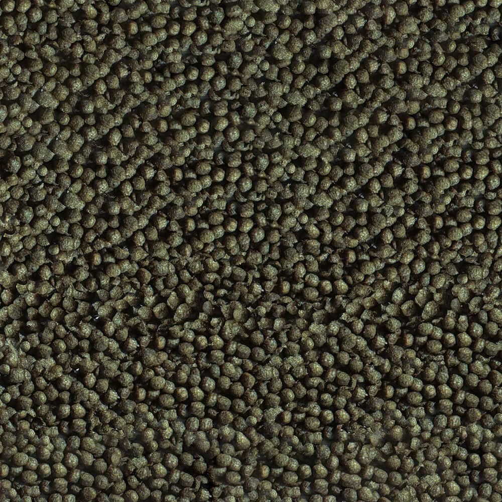 Sera Goldy Color Granules, high-quality floating food for goldfish with spirulina, promoting natural coloration and health.