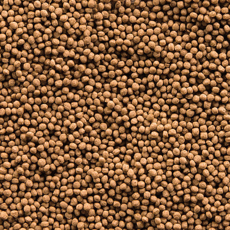 Sera Goldy Granules for larger goldfish, nutrient-rich floating food promoting growth and immune health.