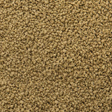 Close-up of Sera Immune Probiotic Granules for ornamental fish, featuring a textured blend of granules.