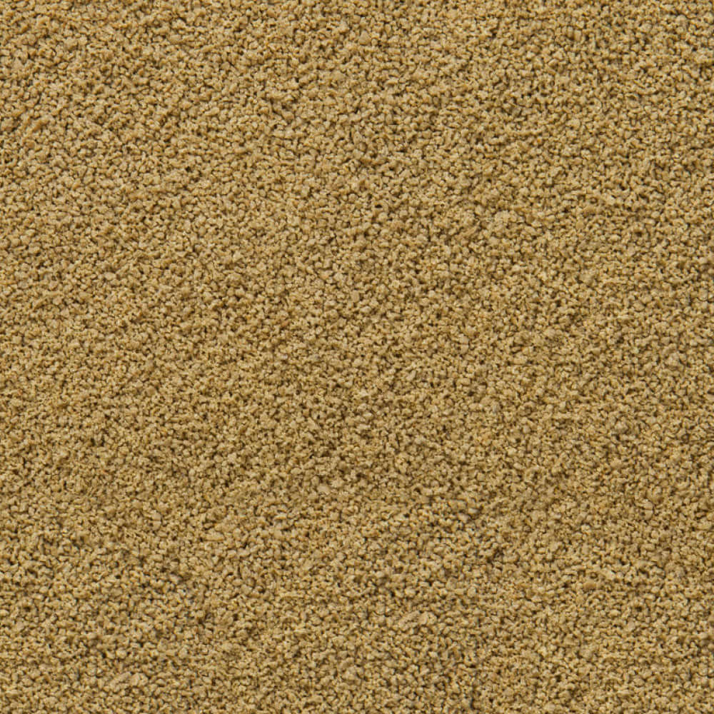 Sera Immune Probiotic Granules XS, fine granules for ornamental fish food, enhancing growth and coloration.