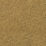 Sera Immune Probiotic Granules XS, fine granules for ornamental fish food, enhancing growth and coloration.