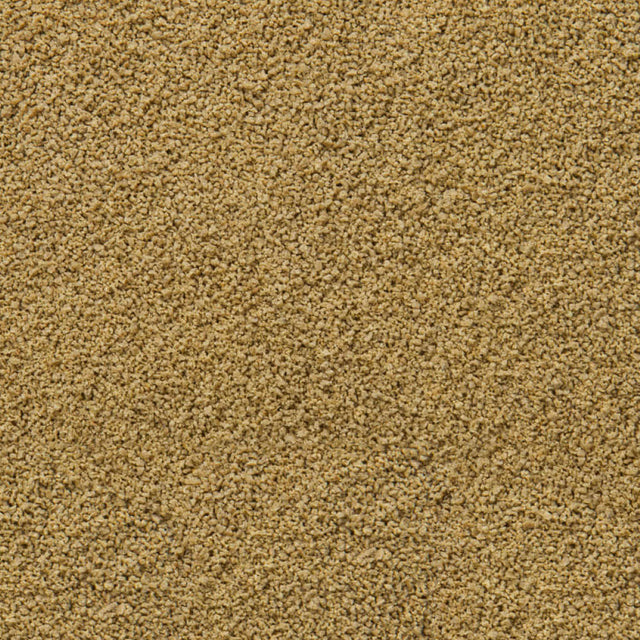 Sera Immune Probiotic Granules XS, fine granules for ornamental fish food, enhancing growth and coloration.