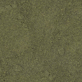 Sera Micron Powder, a rearing food for fish fry and amphibian larvae, rich in zooplankton and phytoplankton.