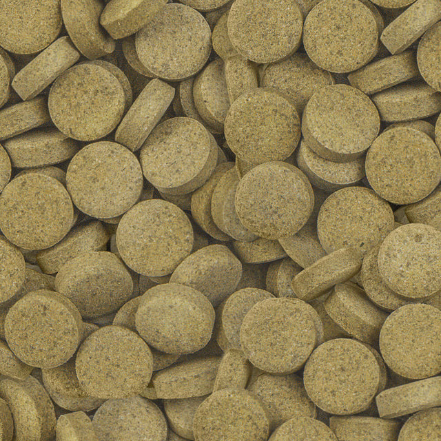 Sera O-Nip Stickies adhesive tablets for ornamental fish, rich in protein, promoting healthy development.