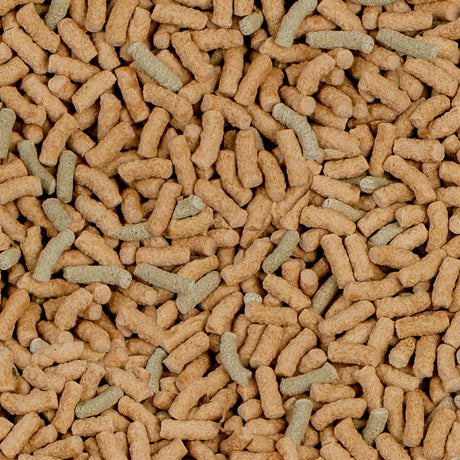 Close-up of Sera Raffy P Nature granules, a nutritious staple food for terrapins and carnivorous reptiles.