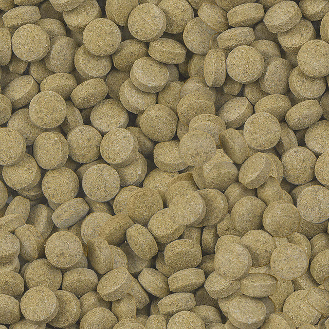 Sera Viformo Pleco Tabs nutritious staple food for catfish and loaches in tablet form, promoting healthy development.