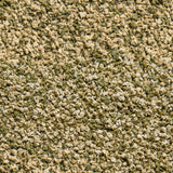 Close-up of Sera Vipagran Baby Granules for juvenile fish, showcasing micro soft granules ideal for optimal development.