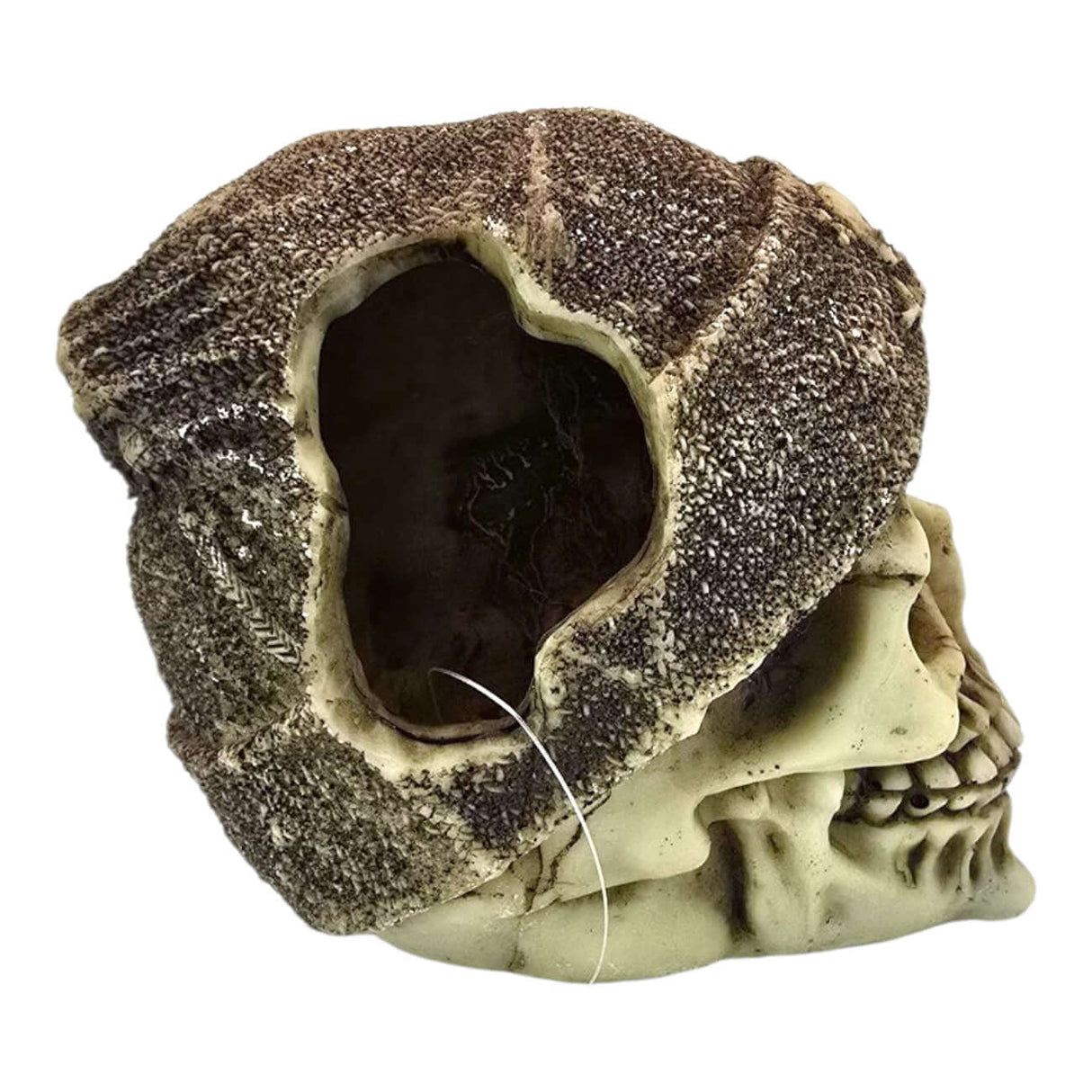 Skull with brown beanie aquarium ornament featuring detailed features and weathered finish.