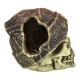 Skull with brown beanie aquarium ornament featuring detailed features and weathered finish.