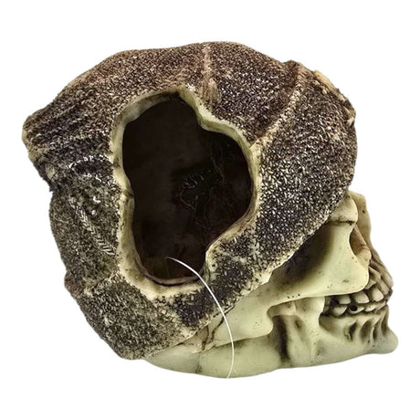 Skull with brown beanie aquarium ornament featuring detailed features and weathered finish.
