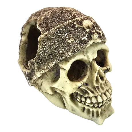 Skull with brown beanie aquarium ornament featuring detailed eye sockets, aged cream finish, and knit-style beanie.