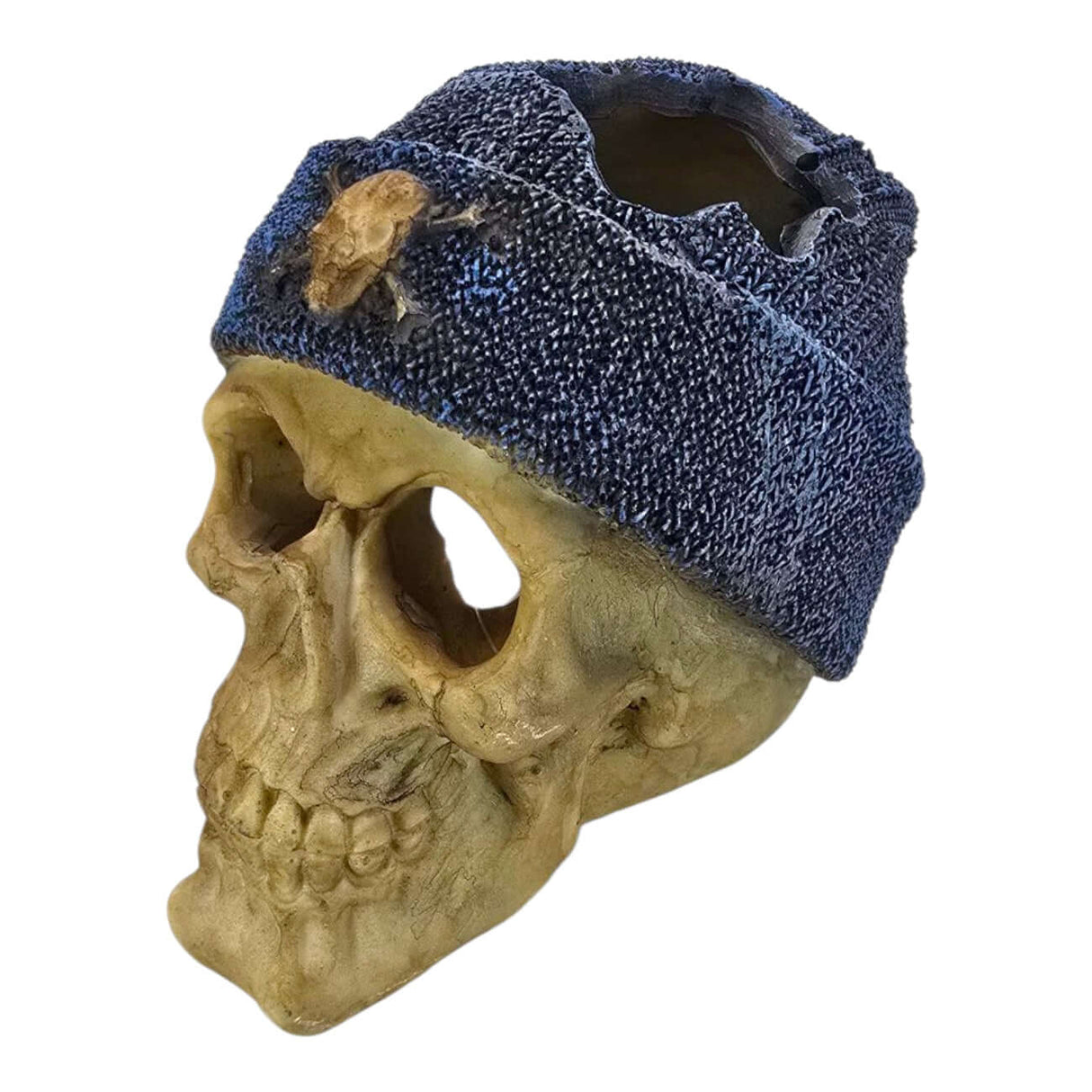 Decorative skull figurine with blue beanie, showcasing intricate bone details and unique textured finish.
