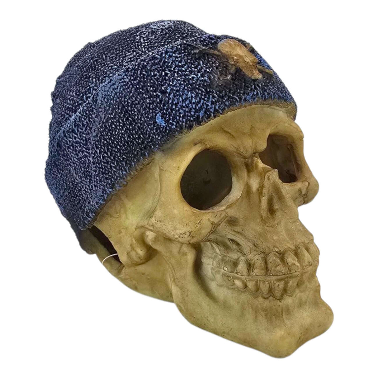 Decorative skull figurine wearing a blue knitted beanie, adding edgy charm to any space.