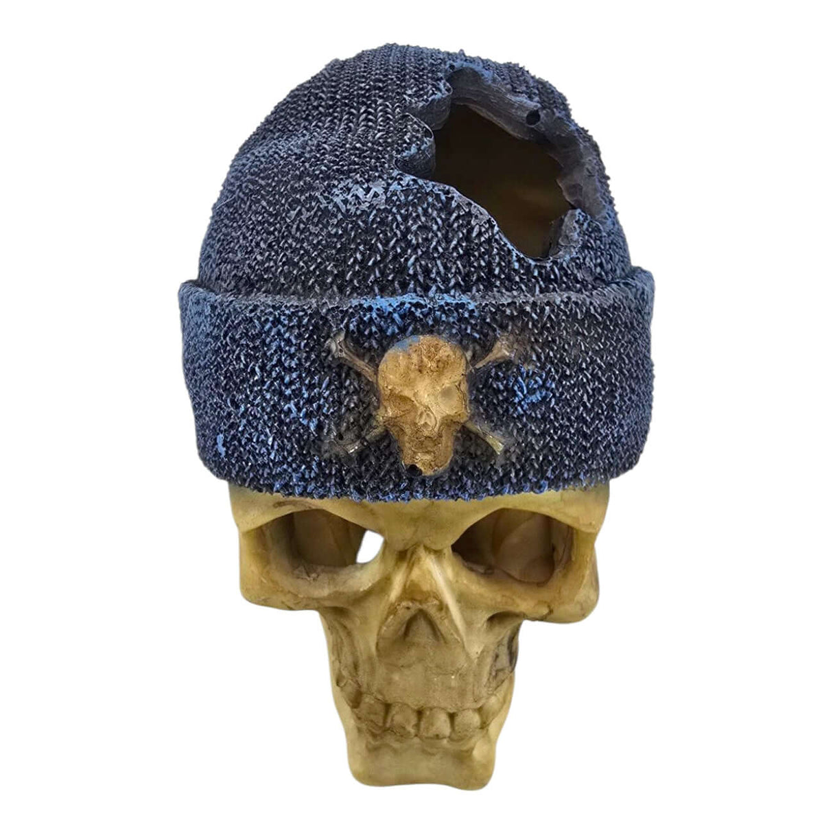 Decorative skull figurine with blue beanie, featuring detailed bone-like finish and insect accent.