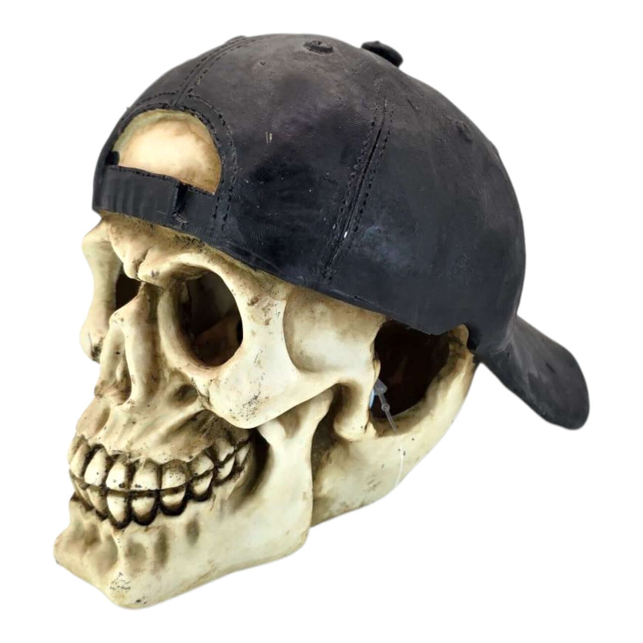 Skull with cap aquarium ornament featuring realistic bone texture and a stylish black baseball cap.