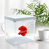 SOBO Mini Pet Box Betta Tank with LED showcasing a vibrant Siamese fighter fish in a stylish aquarium.