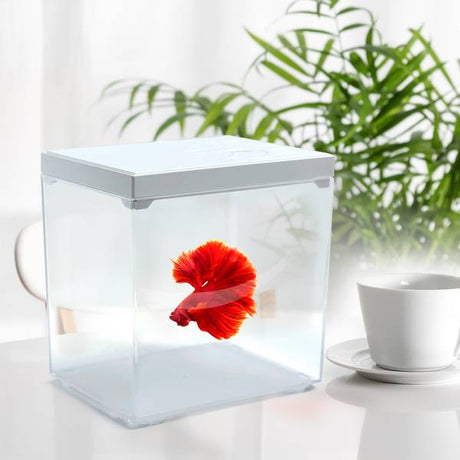SOBO Mini Pet Box Betta Tank with LED showcasing a vibrant Siamese fighter fish in a stylish aquarium.