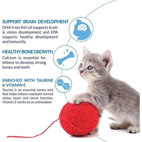 Cute kitten with red yarn showcasing benefits of DHA, calcium, taurine, and vitamin E for healthy development.