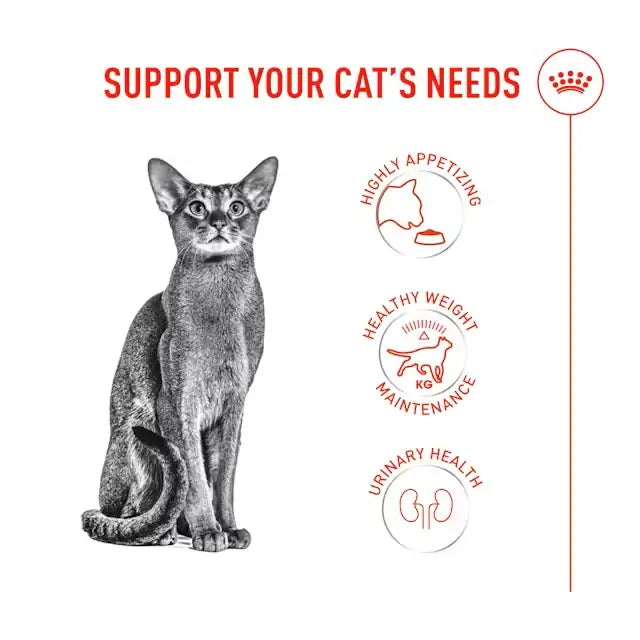 Royal Canin Fussy Exigent Eater Cat Food showcases a cat supporting healthy weight, urinary health, and appetite.