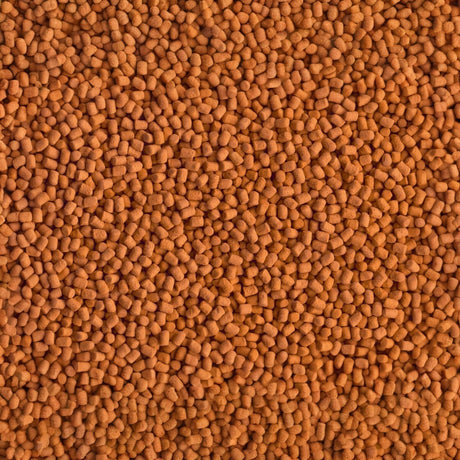 Close-up of Tetra Arowana Sticks fish food pellets, designed for large carnivorous tropical fish.